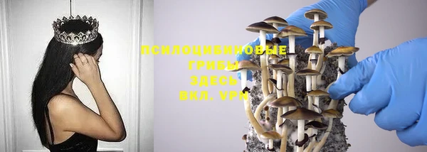 индика Абинск