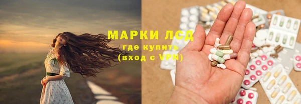 индика Абинск