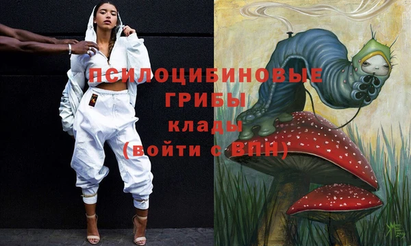 индика Абинск