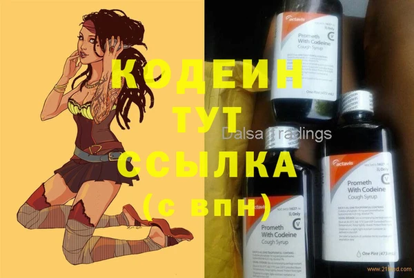 индика Абинск