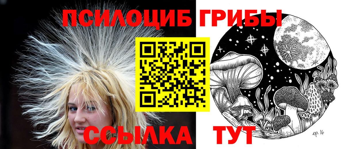 Шумерля  Галлюциногенные грибы MAGIC MUSHROOMS  Вход с VPN 